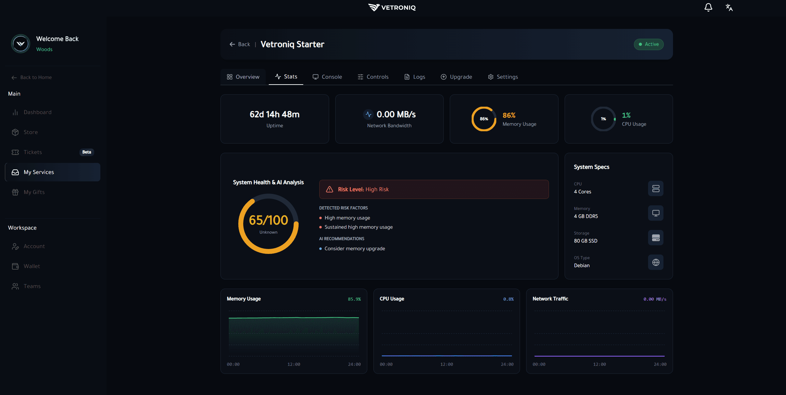 Vetroniq performance dashboard with resource usage and server statistics